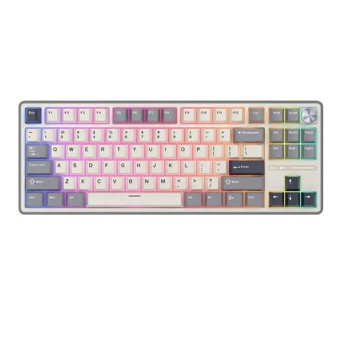 Royal Kludge Gasket-Clavier mécanique filaire RK R87Pro, clavier gamer rétro4.2 RVB, échangeable à c