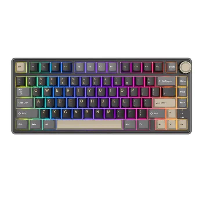 Royal Kludge RK R75 clavier de jeu filaire 80 touches 80% joint rvb rétro-éclairé clavier mécanique 