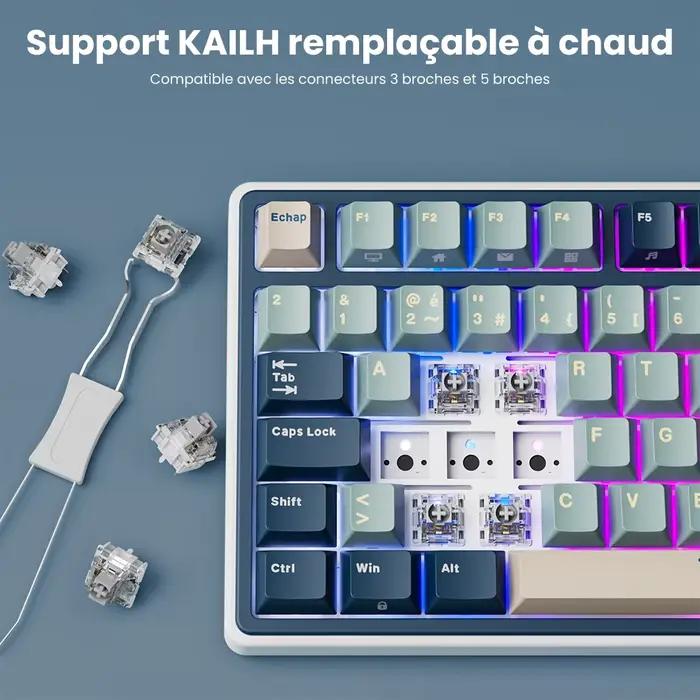RK R75 Royal Kludge clavier mécanique filaire 80 touches 80% joint rvb rétro-éclairé