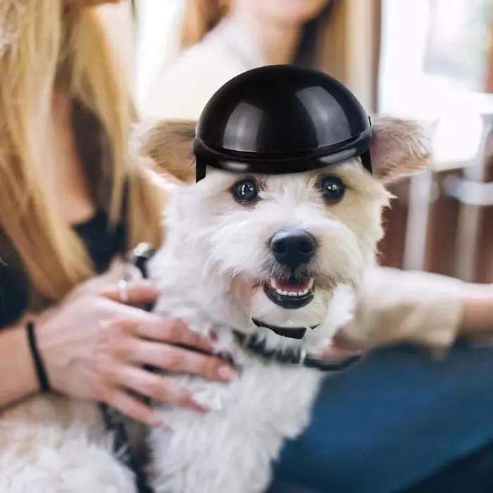 Casques pour animaux de compagnie chien chat vélo casque de moto avec lunettes de soleil chapeau de sécurité pour chien pour voyage Protection de la tête fournitures pour animaux de compagnie S/M