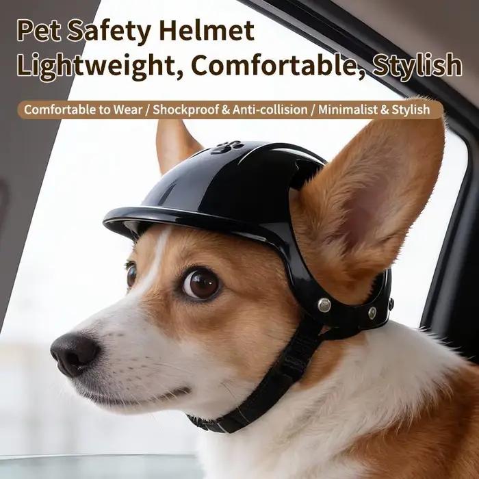 Casque de moto pour animaux de compagnie, chien, chat, équipement de sécurité pour les aventures en plein air