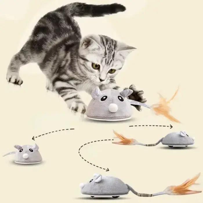 Souris interactive mobile chat grinçant détection automatique