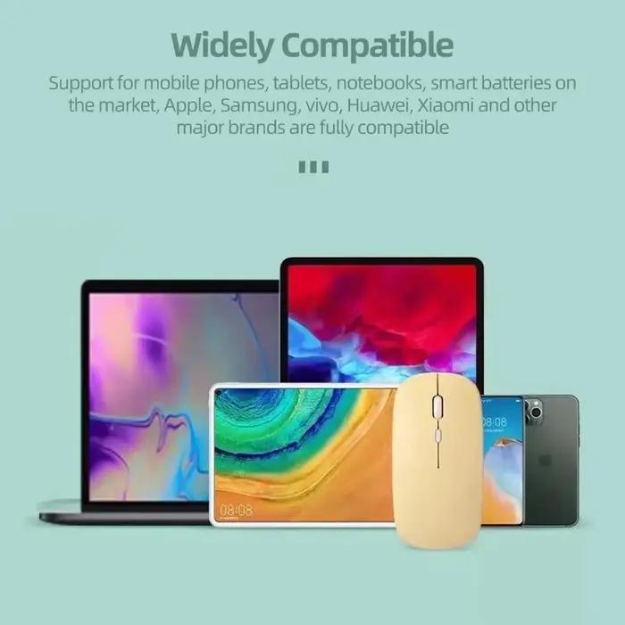 Souris optique sans fil pour iPad