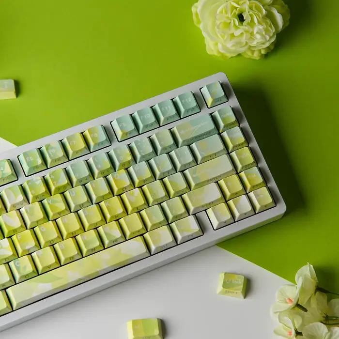 Capuchons de touches de clavier mécanique PBT Cherry Dye Sub