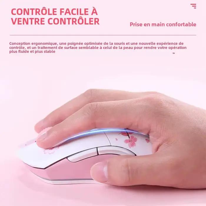 Souris sans fil DAREU EM901X
