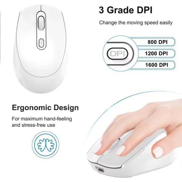 Souris ergonomique sans fil