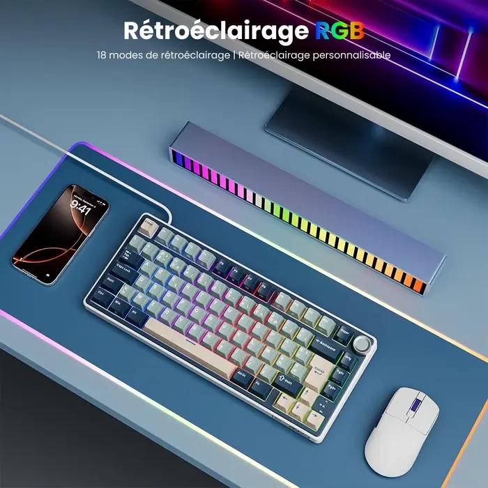 RK R75 Royal Kludge clavier mécanique filaire 80 touches 80% joint rvb rétro-éclairé