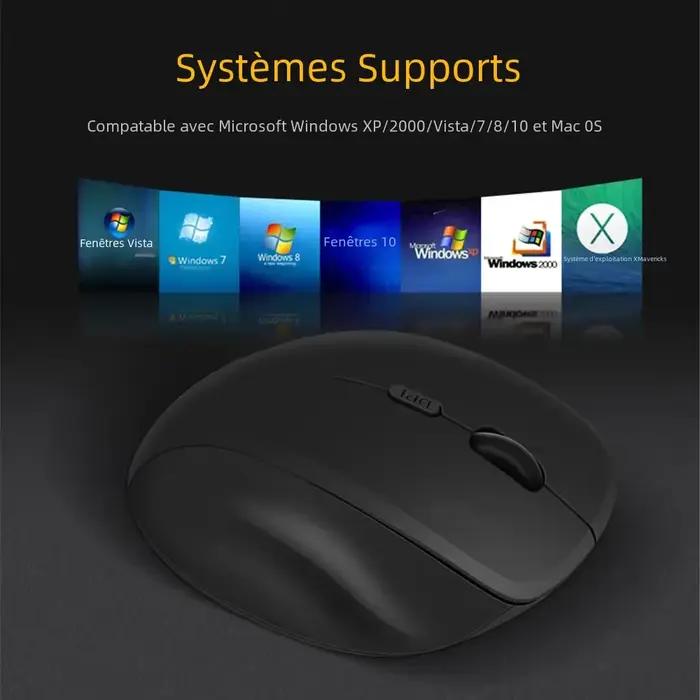 Souris sans fil