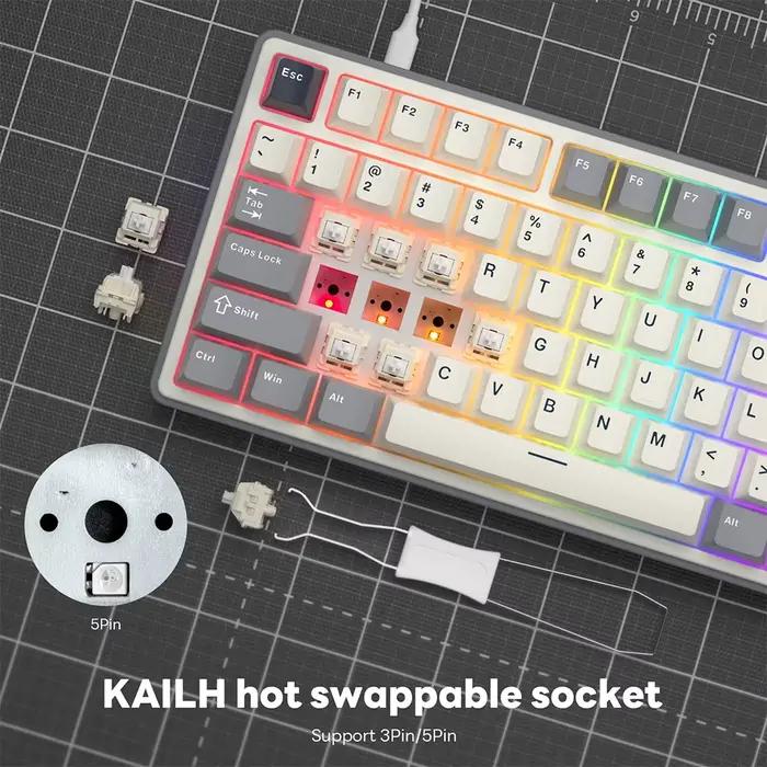 Royal Kludge Gasket-Clavier mécanique filaire RK R87Pro