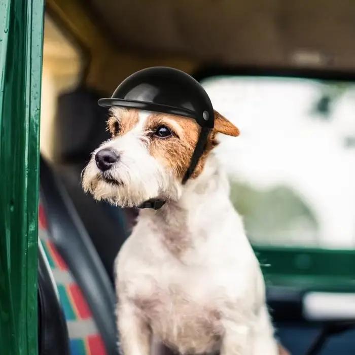 Casques pour animaux de compagnie chien chat vélo casque de moto avec lunettes de soleil chapeau de sécurité pour chien pour voyage Protection de la tête fournitures pour animaux de compagnie S/M