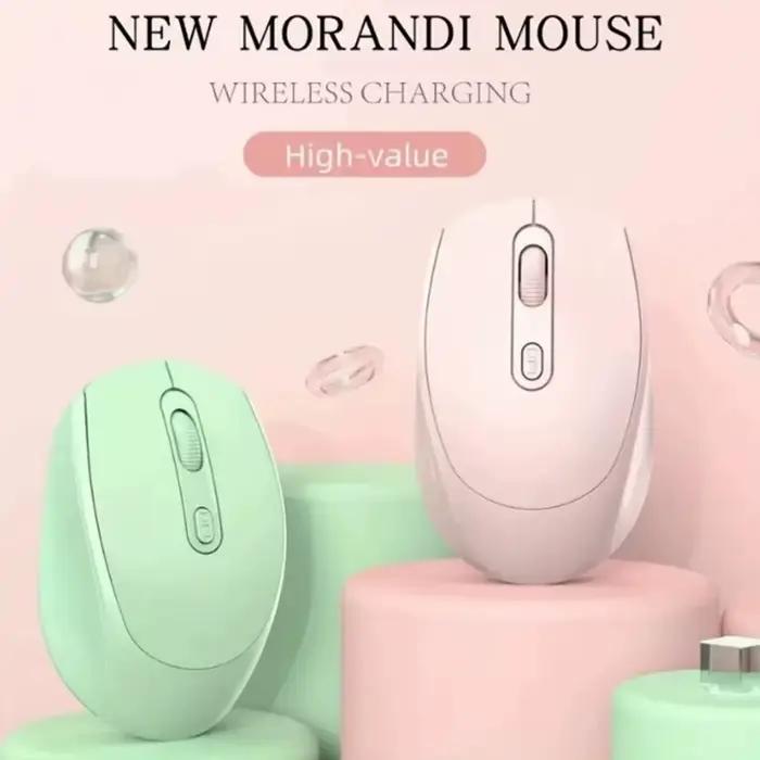 Souris ergonomique sans fil