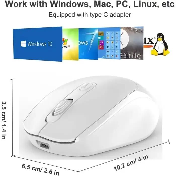 Souris ergonomique sans fil