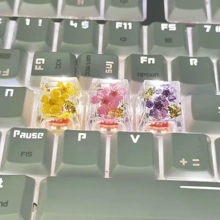Capuchons de touches translucides en fleurs séchées Gypsophila