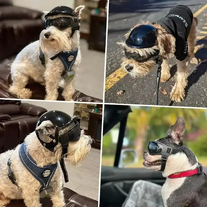 Casque et lunettes de protection pour petits chiens - Casque de moto pour animaux de compagnie avec trous pour les oreilles, sangles réglables pour la promenade des chiots