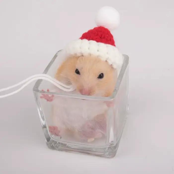 Accessoires pour animaux de compagnie, chapeau de Hamster de dessin animé, doux, fait à la main, tri