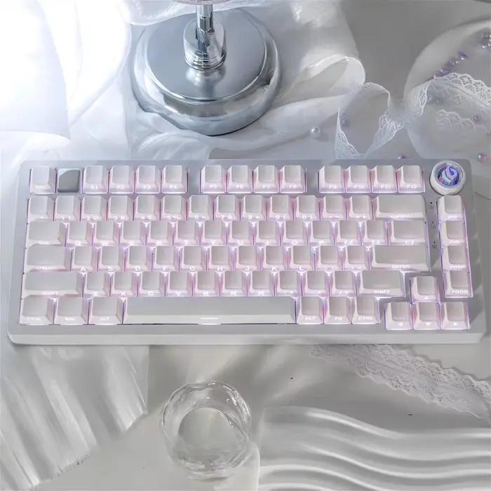 Capuchons de touches translucides minimalistes blancs gravés sur le côté Cherry PBT 130