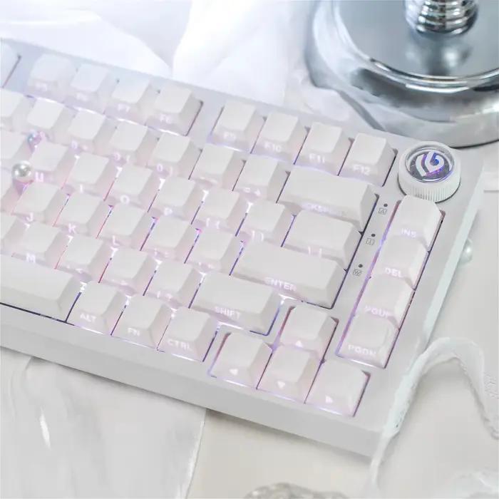 Capuchons de touches translucides minimalistes blancs gravés sur le côté Cherry PBT 130
