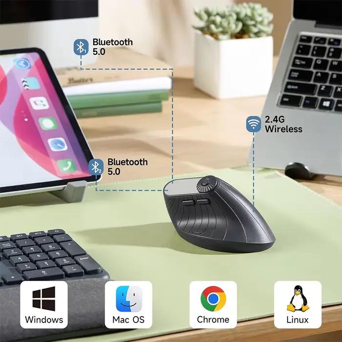 Souris ergonomique 2.4G sans fil BT