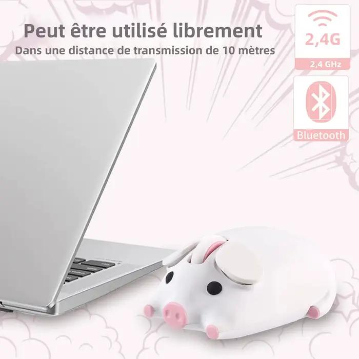Souris sans fil 2.4G Bluetooth double mode