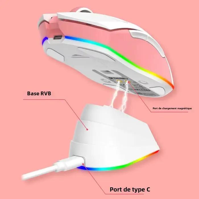 Souris sans fil DAREU EM901X