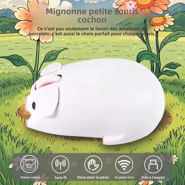 Souris sans fil 2.4G Bluetooth double mode