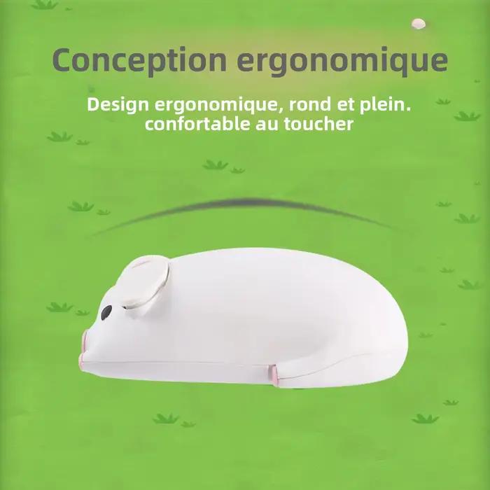Souris ergonomique sans fil 2.4G Bluetooth double mode
