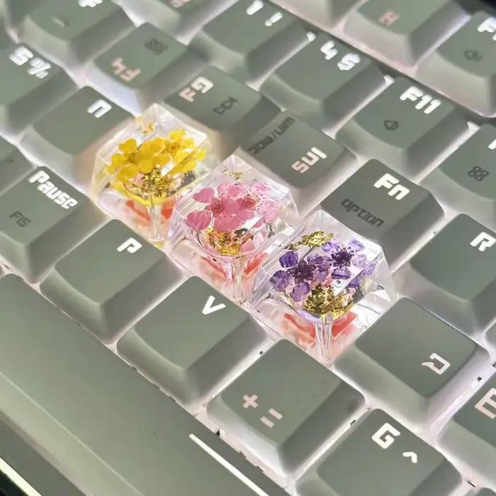 Capuchons de touches translucides en fleurs séchées Gypsophila