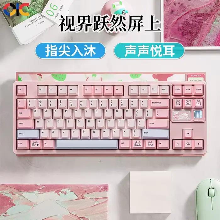 Clavier mécanique sans fil Bluetooth double mode QK80MK2 coque en aluminium personnalisable série de claviers de jeu pleine couleur Wooting pour gamer créatif professionnel