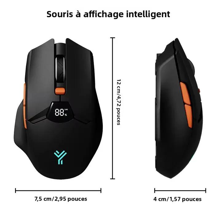 Souris sans fil 2.4G et Bluetooth