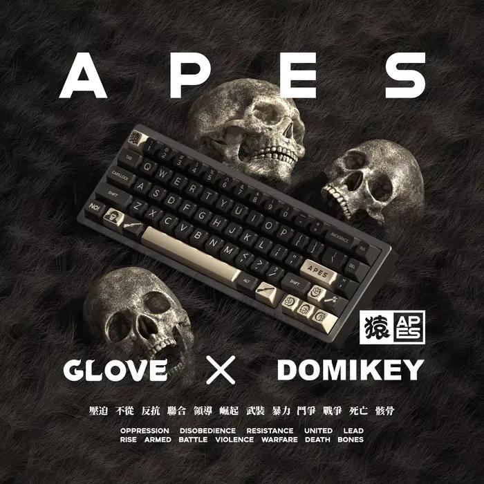 Domikey SA-Capuchon à double injection pour clavier MX Stem